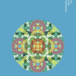 Mindfulness în psihoterapie - Christopher K. Germer, Ronald D. Siegel, Paul R. Fulton